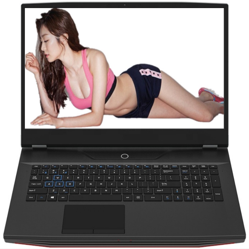 Laptop para jogos de 17,3 pole - Pc Gaming I7 avaliação e preço